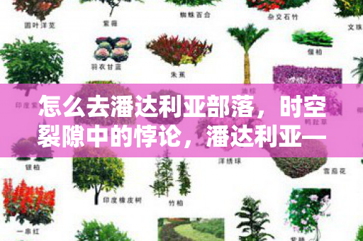 怎么去潘达利亚部落,时空裂隙中的悖论,潘达利亚——自由意志的终极审判场 怎么去潘达利亚部落,时空裂隙中的悖论,潘达利亚——自由意志的终极审判场