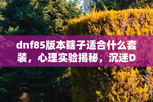 dnf85版本瞎子适合什么套装,心理实验揭秘,沉迷DNF85瞎子刷图加点,细思极恐的自我囚禁 dnf85版本瞎子适合什么套装,心理实验揭秘,沉迷DNF85瞎子刷图加点,细思极恐的自我囚禁