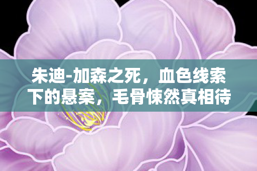 朱迪-加森之死,血色线索下的悬案,毛骨悚然真相待揭 朱迪-加森之死,血色线索下的悬案,毛骨悚然真相待揭