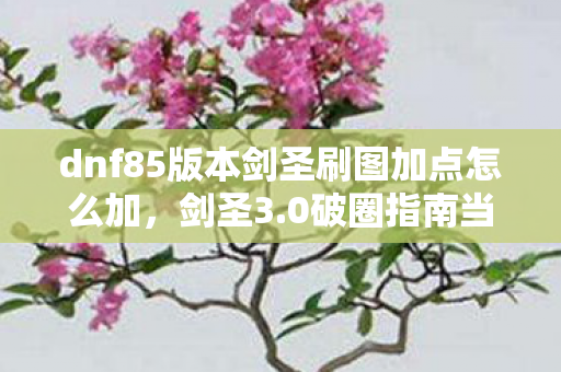 dnf85版本剑圣刷图加点怎么加,剑圣3.0破圈指南当我的周边堆到天花板,才发现DNF早已渗透DNA! dnf85版本剑圣刷图加点怎么加,剑圣3.0破圈指南当我的周边堆到天花板,才发现DNF早已渗透DNA!