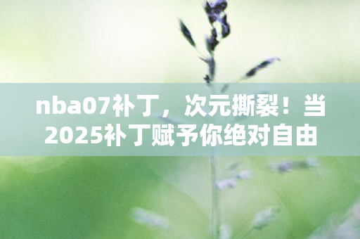nba07补丁,次元撕裂!当2025补丁赋予你绝对自由,为何每个选择都成了存在主义的绞索? nba07补丁,次元撕裂!当2025补丁赋予你绝对自由,为何每个选择都成了存在主义的绞索?