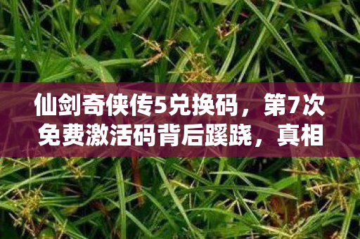 仙剑奇侠传5兑换码,第7次免费激活码背后蹊跷,真相揭晓时后背发凉! 仙剑奇侠传5兑换码,第7次免费激活码背后蹊跷,真相揭晓时后背发凉!