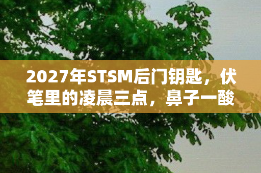 2027年STSM后门钥匙，伏笔里的凌晨三点，鼻子一酸才懂孤独