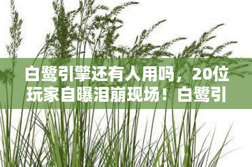 20位玩家自曝泪崩现场图片