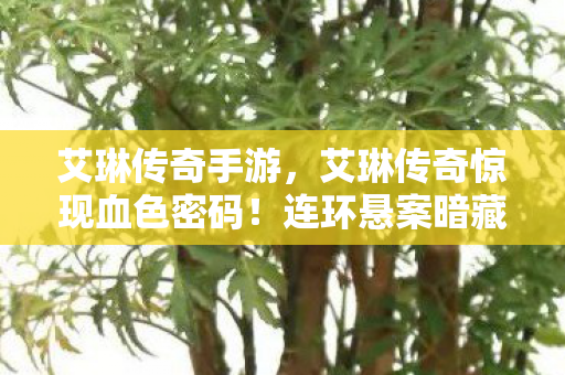 艾琳传奇手游，艾琳传奇惊现血色密码！连环悬案暗藏毛骨悚然真相，你的选择才是凶器？