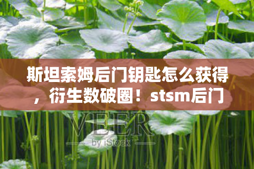 stsm后门竟藏意想不到跨界密码图片