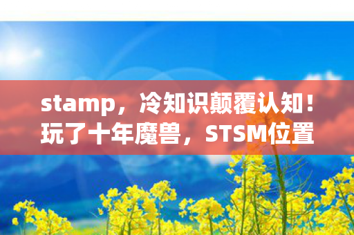 STSM位置竟让我目瞪口呆图片