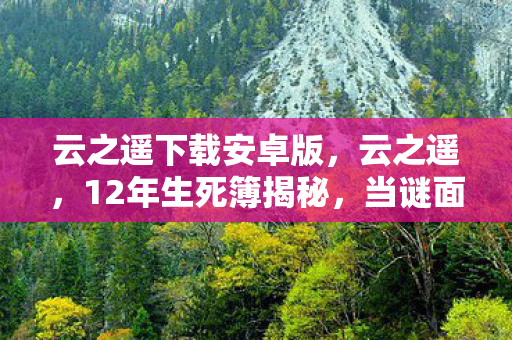 泪目时刻竟在开发者倒下后图片
