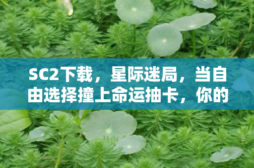 SC2下载，星际迷局，当自由选择撞上命运抽卡，你的灵魂震颤了吗？