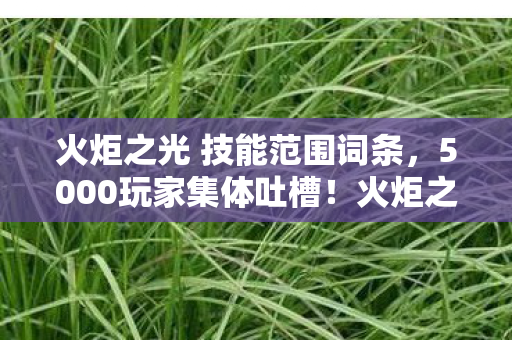 火炬之光 技能范围词条图片