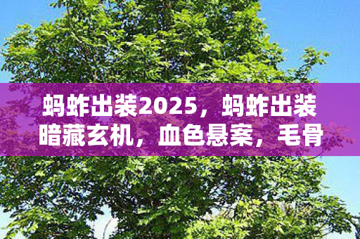 蚂蚱出装2025,蚂蚱出装暗藏玄机,血色悬案,毛骨悚然自掘坟墓 蚂蚱出装2025,蚂蚱出装暗藏玄机,血色悬案,毛骨悚然自掘坟墓