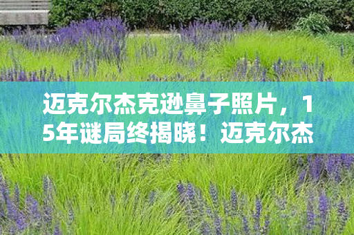 迈克尔杰克逊鼻子照片图片