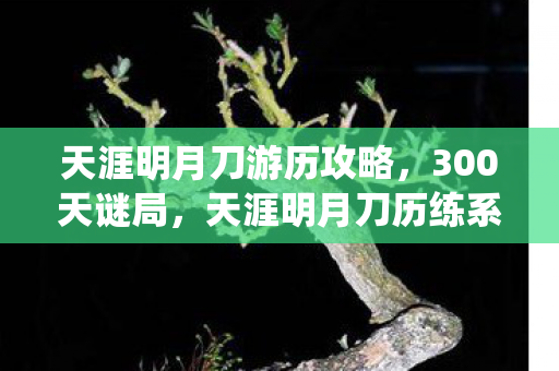 天涯明月刀游历攻略,300天谜局,天涯明月刀历练系统死亡时间线与未亡人的泪目 天涯明月刀游历攻略,300天谜局,天涯明月刀历练系统死亡时间线与未亡人的泪目