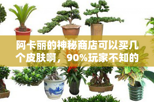 阿卡丽的神秘商店可以买几个皮肤啊，90%玩家不知的真相，阿卡丽商店的1折陷阱，你的钱包还撑得住吗？