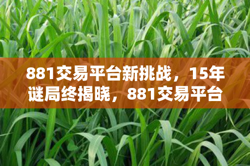 881交易平台新挑战,15年谜局终揭晓,881交易平台如何让百万玩家泪目? 881交易平台新挑战,15年谜局终揭晓,881交易平台如何让百万玩家泪目?