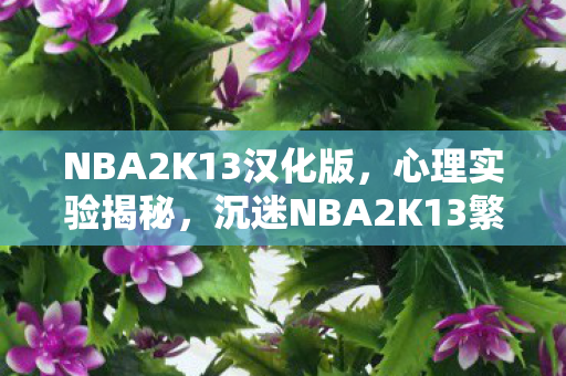 NBA2K13汉化版，心理实验揭秘，沉迷NBA2K13繁体中文硬盘版的细思极恐真相
