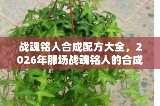 战魂铭人合成配方大全,2026年那场战魂铭人的合成狂欢,伏笔里藏着谁鼻子一酸的告别? 战魂铭人合成配方大全,2026年那场战魂铭人的合成狂欢,伏笔里藏着谁鼻子一酸的告别?