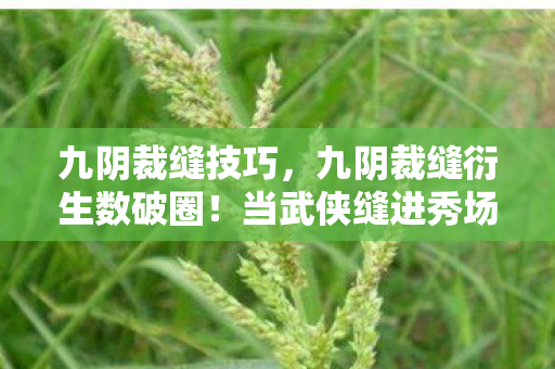 九阴裁缝技巧,九阴裁缝衍生数破圈!当武侠缝进秀场综艺,这波跨界意想不到! 九阴裁缝技巧,九阴裁缝衍生数破圈!当武侠缝进秀场综艺,这波跨界意想不到!