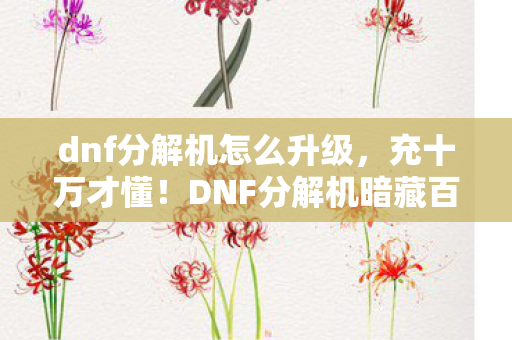 dnf分解机怎么升级，充十万才懂！DNF分解机暗藏百万吞金隐情，吓得我钱包都裂了！