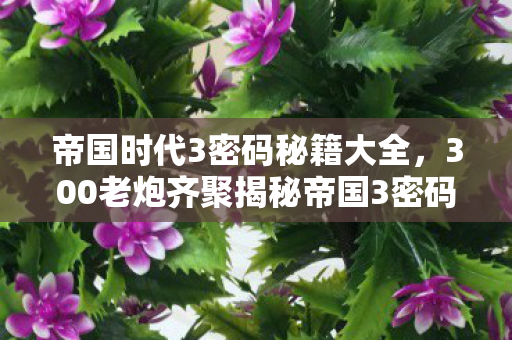 帝国时代3密码秘籍大全,300老炮齐聚揭秘帝国3密码,疑点重重竟让大神也绷不住? 帝国时代3密码秘籍大全,300老炮齐聚揭秘帝国3密码,疑点重重竟让大神也绷不住?