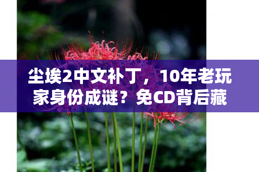 尘埃2中文补丁,10年老玩家身份成谜?免CD背后藏着多少心酸游戏往事 尘埃2中文补丁,10年老玩家身份成谜?免CD背后藏着多少心酸游戏往事