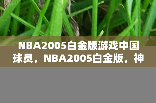 NBA2005白金版游戏中国球员,NBA2005白金版,神秘线索藏悬案,球场惊魂毛骨悚然 NBA2005白金版游戏中国球员,NBA2005白金版,神秘线索藏悬案,球场惊魂毛骨悚然