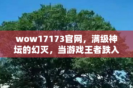 wow17173官网,满级神坛的幻灭,当游戏王者跌入现实废墟的灵魂震颤 wow17173官网,满级神坛的幻灭,当游戏王者跌入现实废墟的灵魂震颤