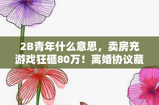 2B青年什么意思,卖房充游戏狂砸80万!离婚协议藏惊天隐情,妻子这一招吓我一跳! 2B青年什么意思,卖房充游戏狂砸80万!离婚协议藏惊天隐情,妻子这一招吓我一跳!