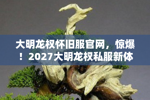 大明龙权怀旧服官网，惊爆！2027大明龙权私服新体验，99%玩家不知的隐藏真相！
