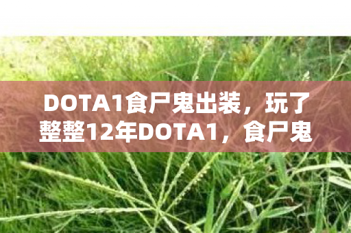 DOTA1食尸鬼出装,玩了整整12年DOTA1,食尸鬼这3套出装到底该咋选?纠结到头秃! DOTA1食尸鬼出装,玩了整整12年DOTA1,食尸鬼这3套出装到底该咋选?纠结到头秃!