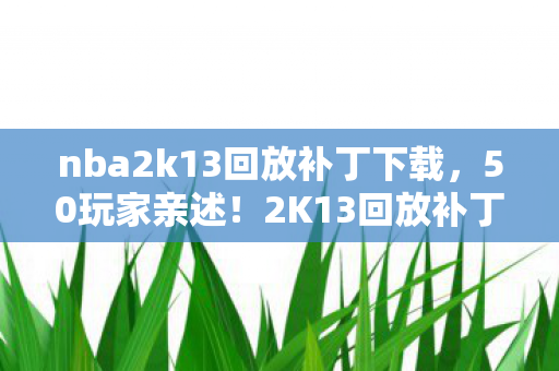 nba2k13回放补丁下载，50玩家亲述！2K13回放补丁疑云，这BUG是官方整活还是玩家集体破防？