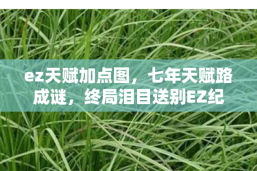 ez天赋加点图,七年天赋路成谜,终局泪目送别EZ纪元 ez天赋加点图,七年天赋路成谜,终局泪目送别EZ纪元
