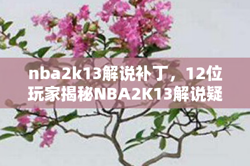 nba2k13解说补丁，12位玩家揭秘NBA2K13解说疑云，这细节谁顶得住？