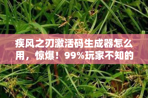 疾风之刃激活码生成器怎么用,惊爆!99%玩家不知的激活码隐藏机制,竟藏着逆袭成神的终极密码? 疾风之刃激活码生成器怎么用,惊爆!99%玩家不知的激活码隐藏机制,竟藏着逆袭成神的终极密码?