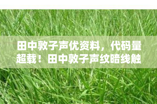 田中敦子声优资料,代码量超载!田中敦子声纹暗线触发灵魂共振系统,玩家集体头皮发麻 田中敦子声优资料,代码量超载!田中敦子声纹暗线触发灵魂共振系统,玩家集体头皮发麻