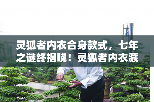 灵狐者内衣合身款式,七年之谜终揭晓!灵狐者内衣藏何秘密?泪目见证游戏终章 灵狐者内衣合身款式,七年之谜终揭晓!灵狐者内衣藏何秘密?泪目见证游戏终章
