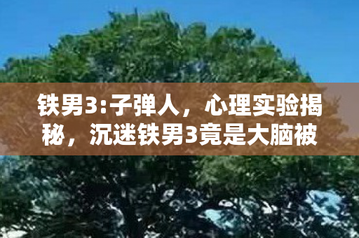 铁男3:子弹人,心理实验揭秘,沉迷铁男3竟是大脑被操控?细思极恐! 铁男3:子弹人,心理实验揭秘,沉迷铁男3竟是大脑被操控?细思极恐!