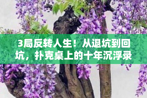 3局反转人生!从退坑到回坑,扑克桌上的十年沉浮录 3局反转人生!从退坑到回坑,扑克桌上的十年沉浮录