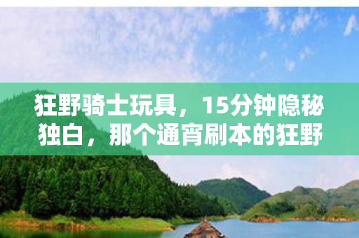 那个通宵刷本的狂野骑士图片