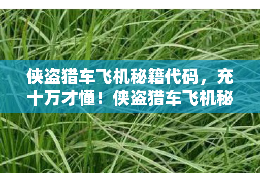 侠盗猎车飞机秘籍代码,充十万才懂!侠盗猎车飞机秘籍竟是氪金黑洞,这操作吓掉下巴! 侠盗猎车飞机秘籍代码,充十万才懂!侠盗猎车飞机秘籍竟是氪金黑洞,这操作吓掉下巴!