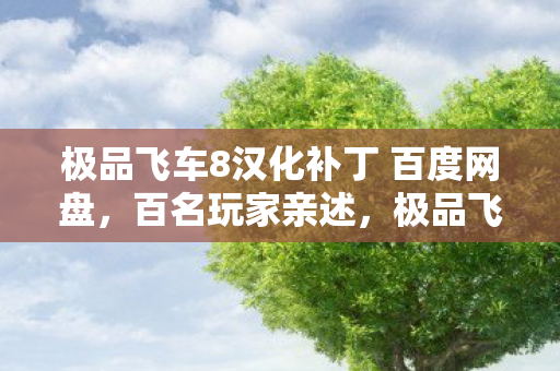 极品飞车8汉化补丁 百度网盘图片