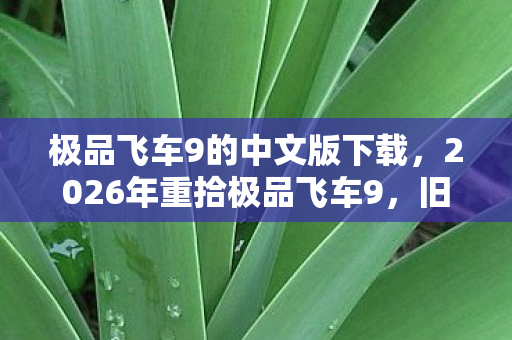 2026年重拾极品飞车9图片
