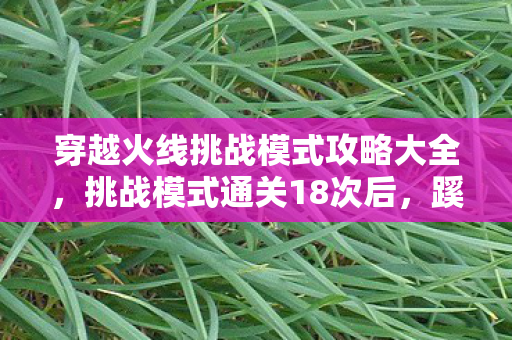 穿越火线挑战模式攻略大全图片