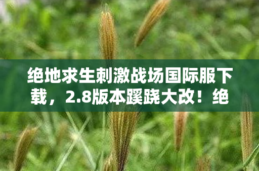 绝地求生刺激战场国际服下载图片