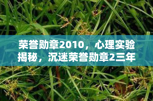 沉迷荣誉勋章2三年图片