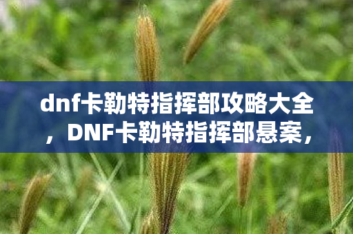 dnf卡勒特指挥部攻略大全图片