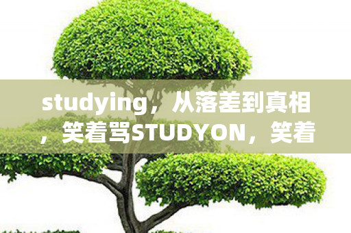 studying,从落差到真相,笑着骂STUDYON,笑着笑着却哭了 studying,从落差到真相,笑着骂STUDYON,笑着笑着却哭了