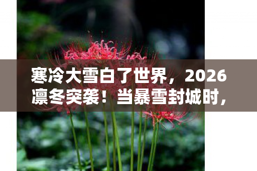 鼻子一酸想起替我扛BOSS的你图片