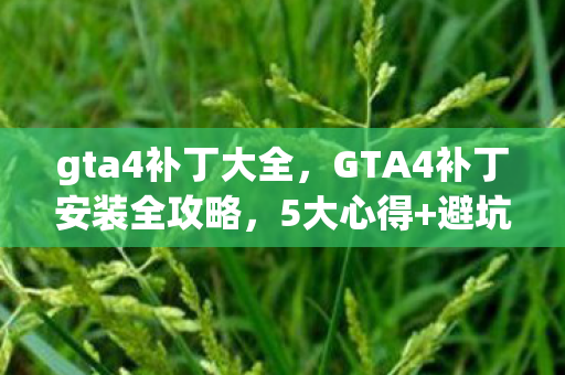 GTA4补丁安装全攻略图片