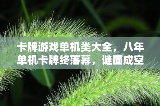 卡牌游戏单机类大全图片